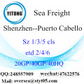 Shenzhen Sea Port Spedizioni di Carichi a Puerto Cabello